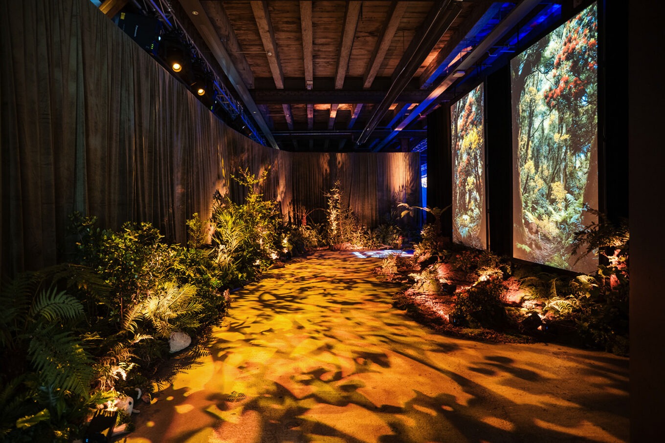 Chapman Tripp Gala dinner